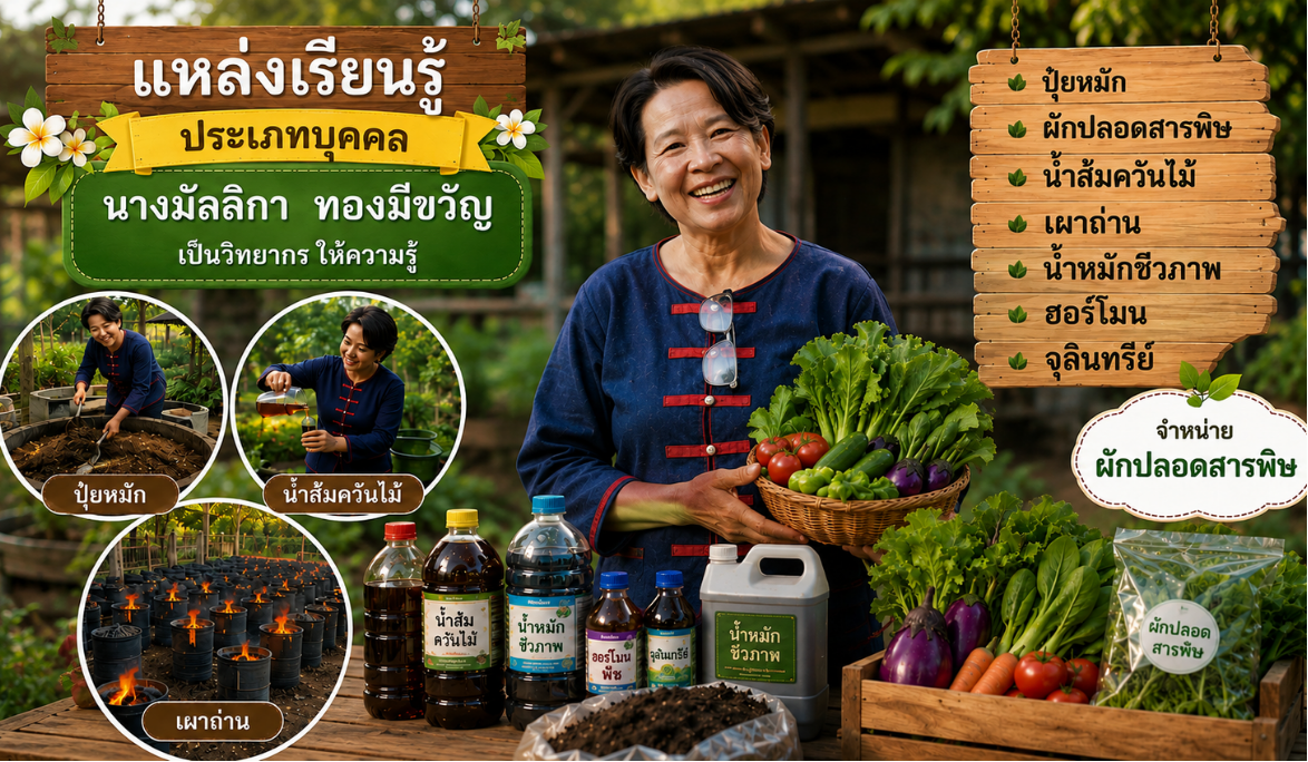 นางมัลลิกา  ทองมีขวัญ